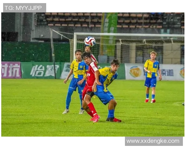 中国血统的国际足球明星们在绿茵场上的精彩表现与成就揭秘